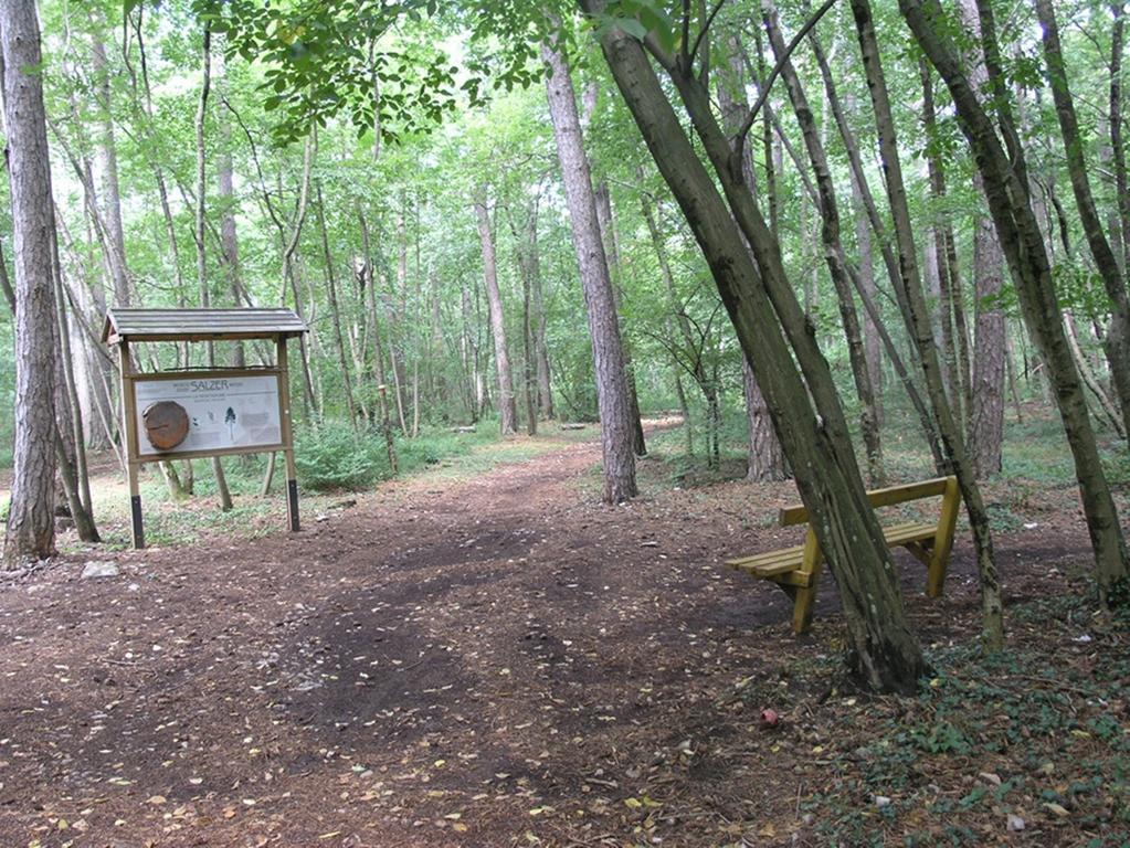 Stirenca B&B Triest Zewnętrze zdjęcie